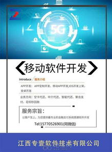 江西企業(yè)如何高效搭建專(zhuān)壹支付系統(tǒng) 軟件外包服務(wù)指南